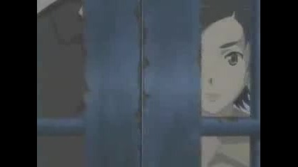Blood +