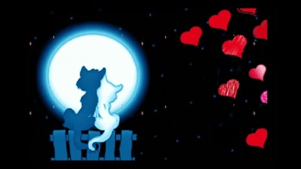 You're in my heart... ...(love of animals)... ...