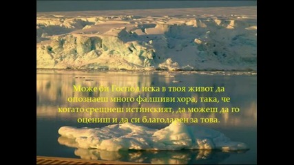 желая те