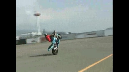 Stunt Life