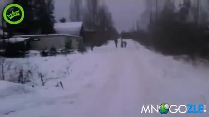Ето как се возят на шейни в Русия