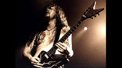 Pantera - Shedding Skin