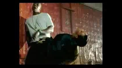 Beyonce Feat Jay Z - Deja Vu