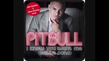 Pitbull - I Know You Want Me /calle ocho/ (alex Gaudino Remix) 