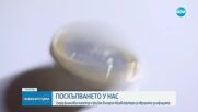 Теменужка Петкова: И през юни очакваме да покрием критерия за стабилност за еврозоната