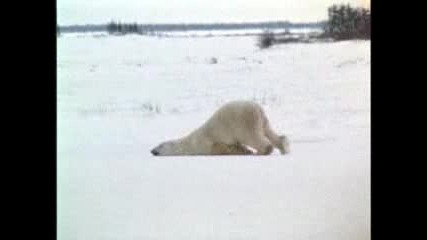 В Понеделник На Работа