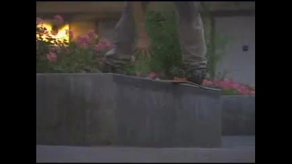 Skate - Tony Hawk vs. Rodney Mullen 