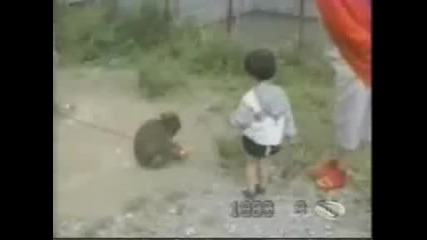 Забавни Животни (част 2)
