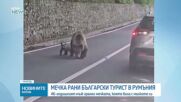 Мечка нападна българин в Румъния, мъжът е опериран