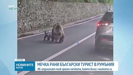 Мечка нападна българин в Румъния, мъжът е опериран