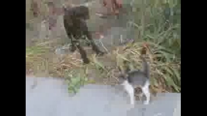 ku4e i kote.3gp