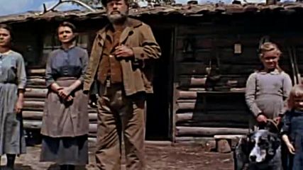 Shane ( 1953 )