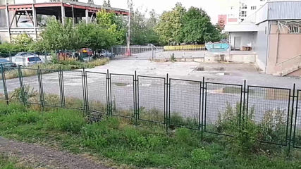 Vid_20200529_084802