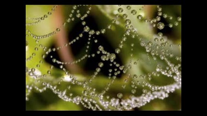 Kitaro - Tender Dew Drops