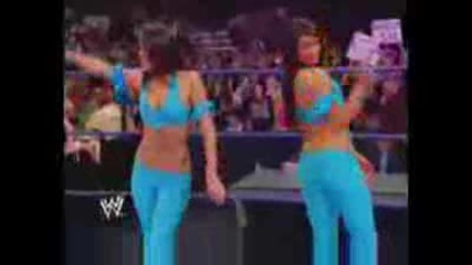 Bella Twins Diva Runaway