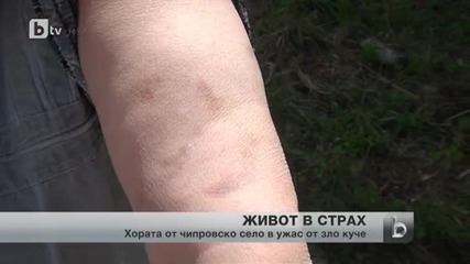 Заради зло куче Жители на чипровско село живеят в страх