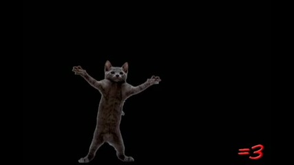 =3 by Ray William Johnson Ep 64: Techno Kitteh 