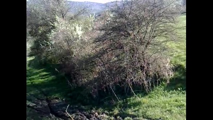bata6ki izrodi