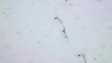 Kis Kristal Guzelikleri 2017 Hd