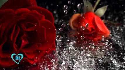 Otis Rush - My Love Will Never Die