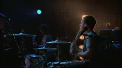 Arctic Monkeys - Nettles Live [at The Apollo Dvd]