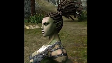Lineage 2 Nice Music! 