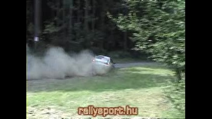 ludo rally 
