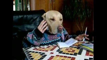 Смешно куче говори по телефона като човек