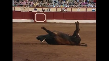 Voltereta Toro
