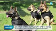 Украински служебни кучета получиха бронежилетки