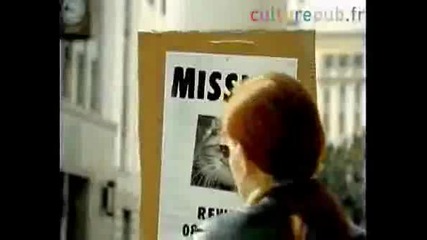 Какво Стана С Тази Котка