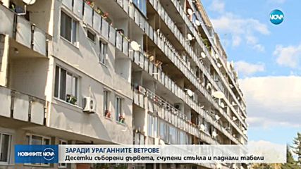 ЩЕТИ СЛЕД СИЛНИЯ ВЯТЪР: Паднали дървета и табели