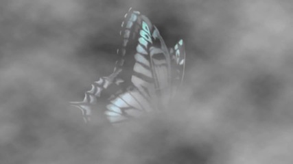 whєrє вuttєrflies resist..
