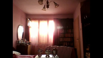 lps shou