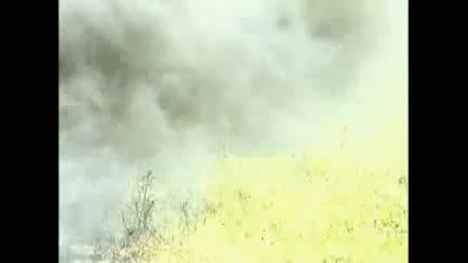 Голямо пушкало