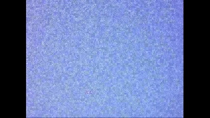 Untitled 0001