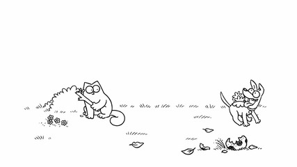 Fetch - Simon's Cat