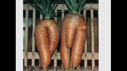 Plants that go bad - Растения който вървят лошо