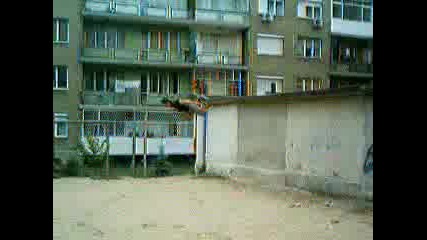 Milensjc