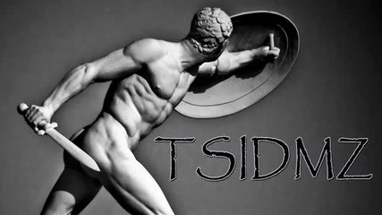 Tsidmz - Final War In The Desert