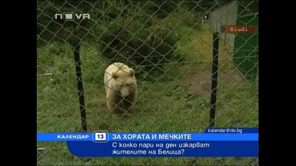 По - добре е да си мечка в Белица, отколкото български гражданин? 