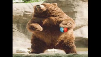 Смешни Клипчета 10 - Много Смях!