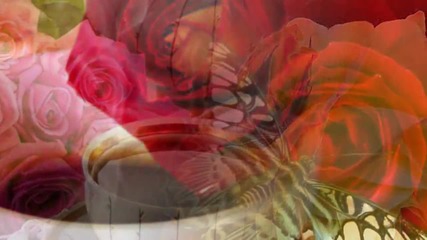 Coffe Sence Of Roses - Music - Stamatis Spanoudakis