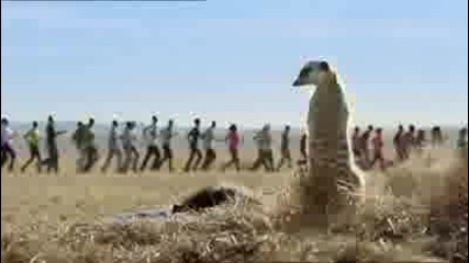 Fifa World Cup 2010 - Pepsi Commercial