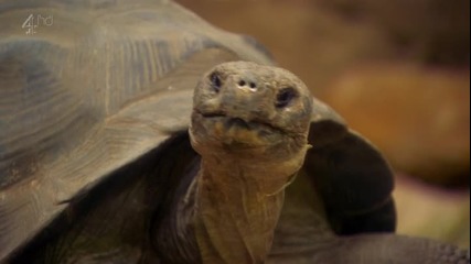 Derek s02e04