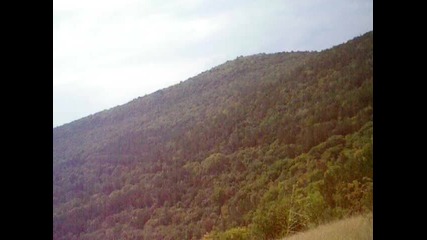 наще гончета (гонка) 