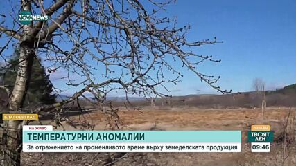 Отразяват ли се температурните аномалии на овошните дръвчета у нас