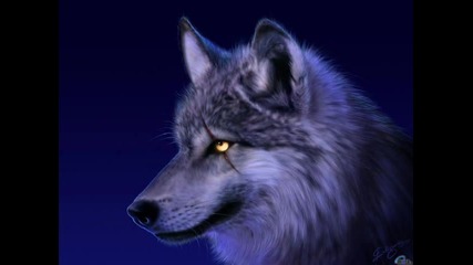 Rainbow - Wolf To The Moon