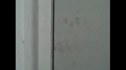 Странно приятелство