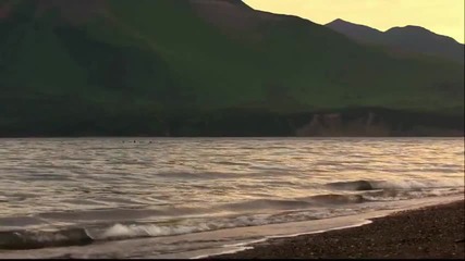 Nature Full Color - Music Video (hd) 